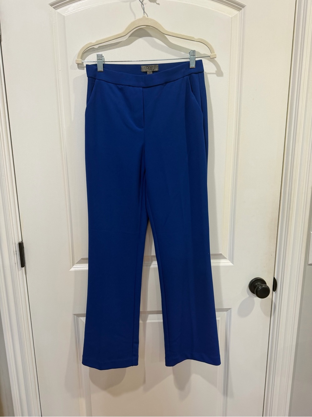 Elevated Wide-Leg Pants in Cobalt Blue by One